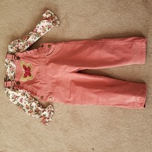 Pink butterfly overalls